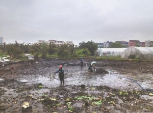 侯马河道鱼塘清淤